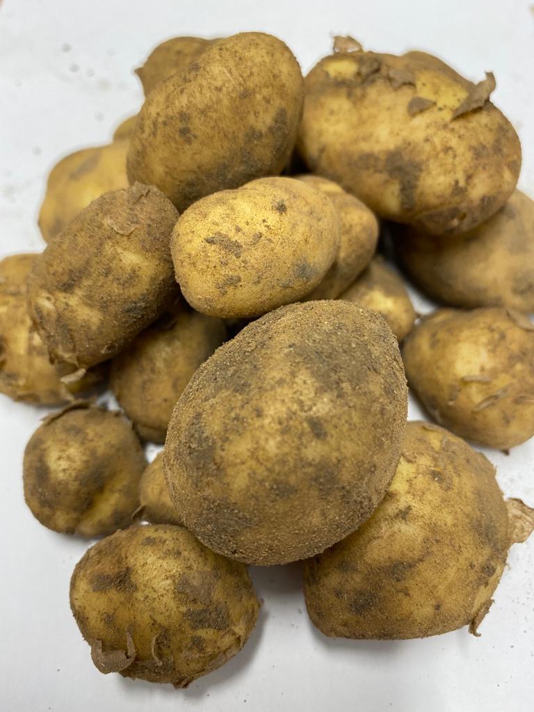 jersey royals not what they used to be
